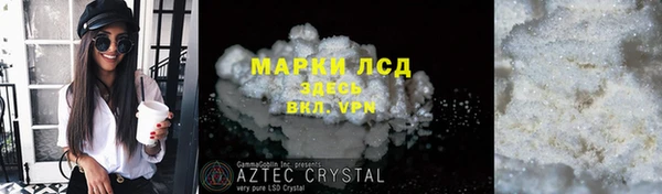 PSILOCYBIN Сосновый Бор