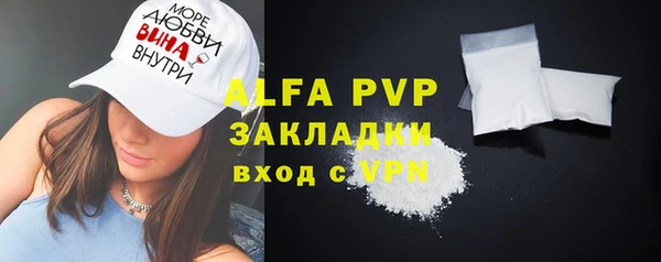 PSILOCYBIN Сосновый Бор