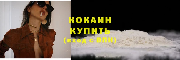 хмурый Сосновка