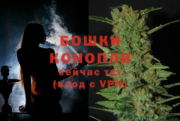 хмурый Сосновка