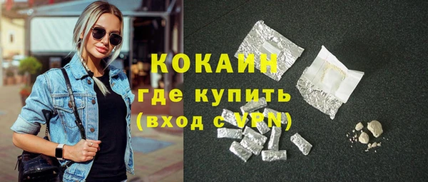 хмурый Сосновка