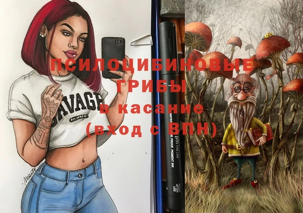 PSILOCYBIN Сосновый Бор