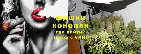 PSILOCYBIN Сосновый Бор