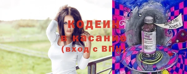 хмурый Сосновка