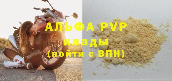 хмурый Сосновка
